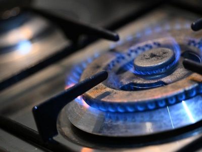 Call to cap diesel rebate, sting oil firms