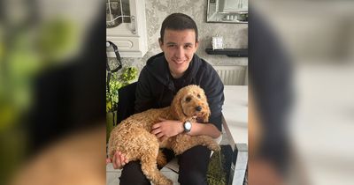 Teen's puppy dies after being 'spooked' in the park