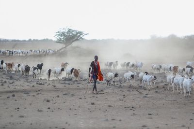 UN summit: Don't repeat mistakes on nature, scientists warn