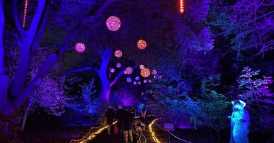 We go to Wollaton Christmas lights and get lost in a winter wonderland labyrinth