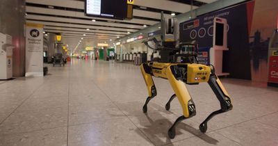 Heathrow Airport employs robotic dog called Dave
