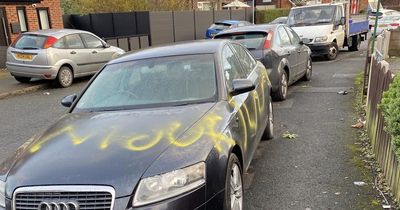 Vandals smash windows and spray paint 'move' on cars parked on pavement as locals divided