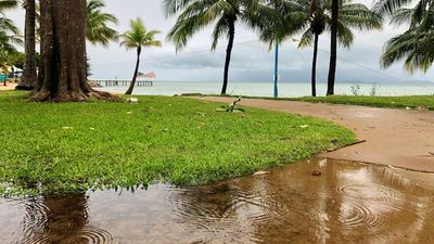 More above-average rainfall, heatwave for Townsville after wettest spring in 20 years