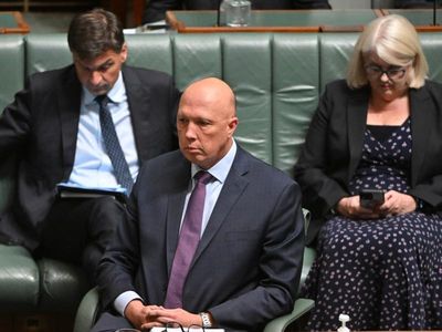 Federal Liberal MPs urged to support voice