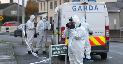 Dublin shootings: Man shot dead in Ronanstown, another injured in Finglas