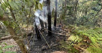 Suspicious spot fires under investigation: police appeal for dashcam video