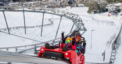 Alpine roller coaster pitched for Thredbo Resort