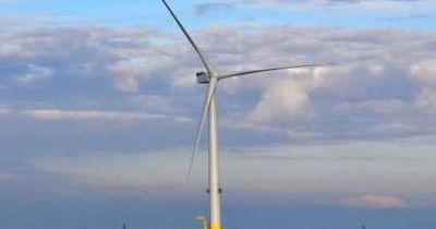 Green light for offshore wind collaboration
