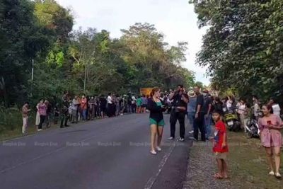 Wild elephants block road in Khao Yai