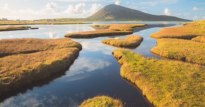 Damning report on Scotland's protected nature areas reveals overall decline