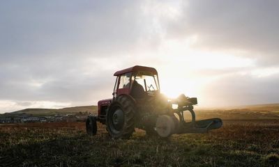 UK risks sleepwalking into food supply crisis, says farmers’ union