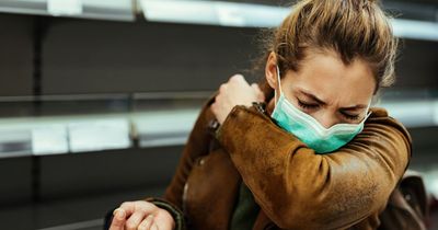 Ireland cold and flu warning as symptoms could be sign of cockroach infestation
