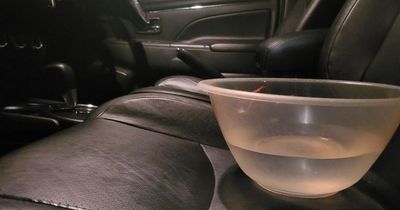 Driving with a bowl of water in your car can help you save money