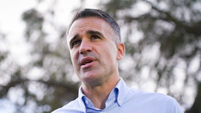 South Australia's premier, Peter Malinauskas, is in 'furious agreement' with PM that nuclear power would not work for Australia
