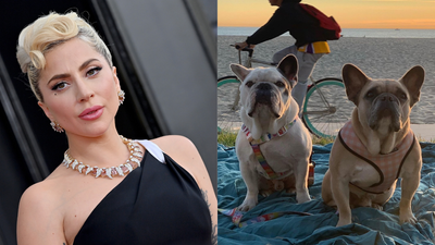 The Bloke Who Shot Lady Gaga’s Dog Walker Dognapped Her Pups Has Copped A 21-Year Jail Term