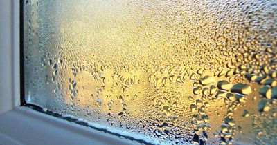 Stop condensation on windows: Irish people share proven methods to stop it forming in cold weather