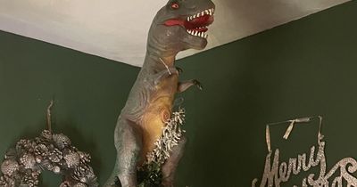 Mum orders star for tree, gets 2ft dinosaur instead - so she puts it on top