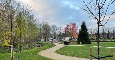 'Senseless' vandals destroy popular Christmas tree by Nottingham charity