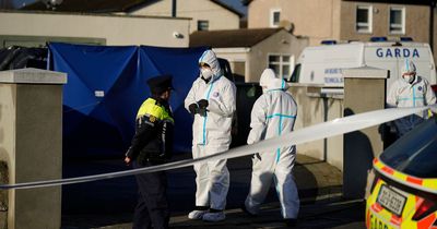 Dublin double shooting as man killed and another injured in night of horror in city