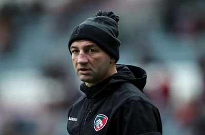 Steve Borthwick can hit the ground running to keep Rugby World Cup dream alive after sour end for Eddie Jones