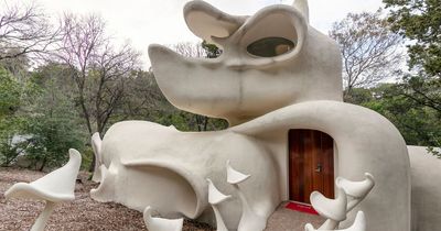 Inside this Airbnb psychedelic 'hippie dream' shaped like magic mushroom