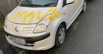 Cars vandalised with 'move' spray painted on and windows smashed in overnight rampage