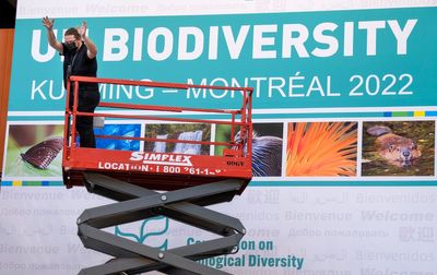 Governments gather in Canada in bid to boost biodiversity