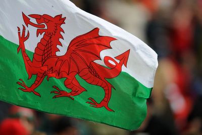 Fewer people speaking Welsh than 10 years ago, Census reveals