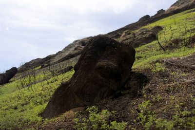 On Easter Island, burned Moai statues are a symbol of growing tensions
