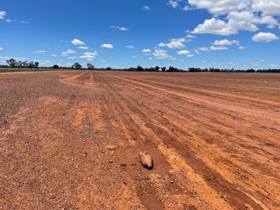 The NSW floods have been as gut wrenching as drought and caused more damage