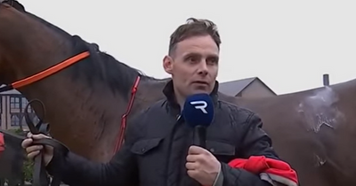 Trainer Ronan McNally found to have 'concealed the true ability of horses' by Irish Horseracing Regulatory Board