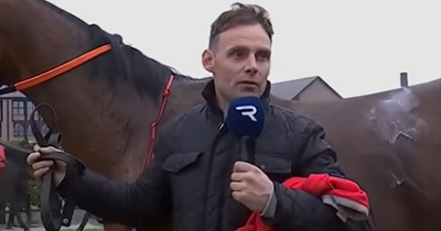 Armagh trainer Ronan McNally found to have 'concealed true ability of horses' by Irish Horseracing Regulatory Board