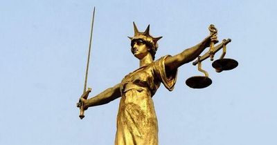 Belfast man convicted of 3 separate dog attacks