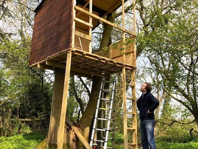 Matt Hancock claims he worked from his children’s treehouse at height of Covid pandemic