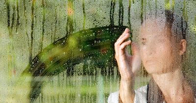 Expert's top tips to cut condensation in your home as cold snap hits UK