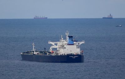 Tanker delays across Turkish straits not due to Russia oil price cap - official