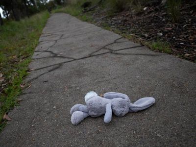 Reported family violence cases in Vic drop