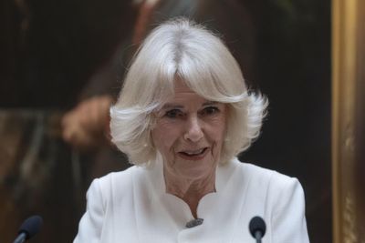 Camilla: Stories of domestic abuse from survivors still haunt me