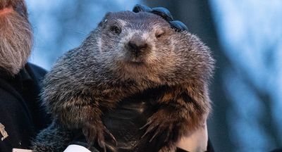 It’s Groundhog Day all over again in this dreary run-up to the holidays
