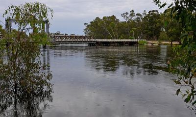 Murray River towns could see brown tap water for months in wake of floods