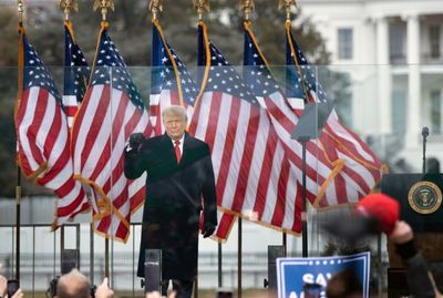 Falsehoods plague elections as voters tackle Trumpian tactics