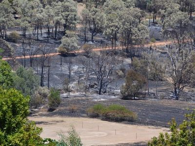 Western Power loses bushfire court appeal