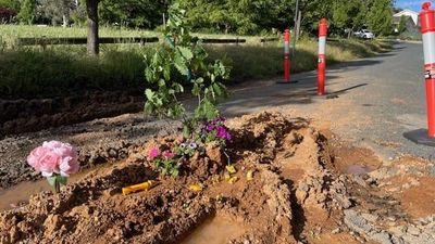 ACT government commits $153 million to fix potholes and improve roads across Canberra