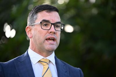 Battle for Victorian Liberal leadership on a knife-edge ahead of ballot