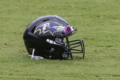 Ravens assistant coach Ryan Osborn expected to be new DC at Charlotte