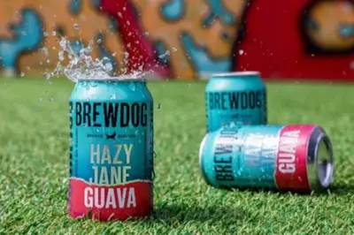 BrewDog fruit beer ad banned over claim it is ‘one of your five a day’