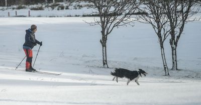 How cold does it have to be to snow?