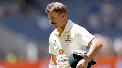 David Warner withdraws appeal for end to lifetime captaincy ban