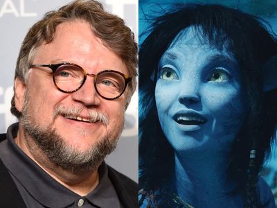 Avatar: Guillermo del Toro doubles down on Way of Water praise after divisive critical response