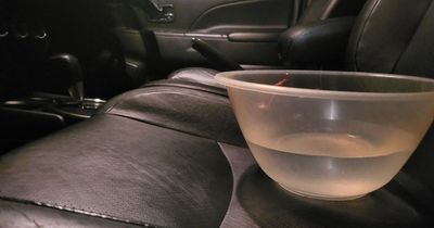 Motorists urged to drive with a bowl of water in car this winter to help save on fuel